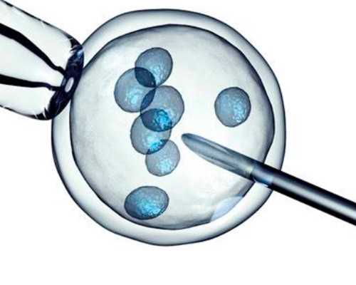 香港验血转介编号怎么来的_我来告诉你最全,香港卓信验血多少钱