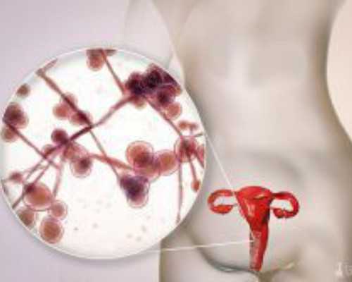 异常受精囊胚：0pn囊胚移植最后胎儿畸形*供卵助孕男孩