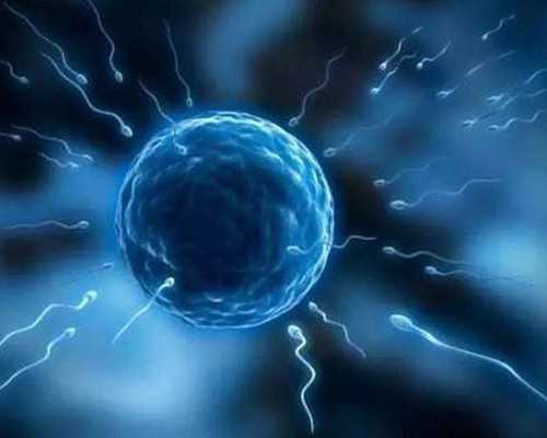 2026
郑州哪家借卵做试管婴儿的医院最好呢？-借腹代孕公司-找寻代孕公司