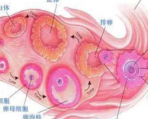 北京第三代试管武汉哪里能做,三代试管北京哪个