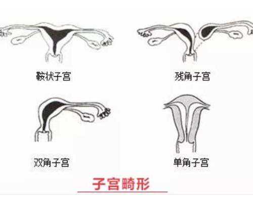 香港验血报告单男,详细流程是怎样的	,香港申请验血价格