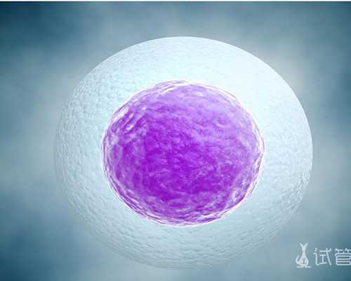 胎停误诊率高吗*代生包男宝