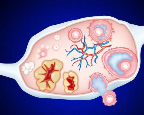 去泰国做试管有被骗的吗？去泰国做试管被骗经历*人工试管婴儿