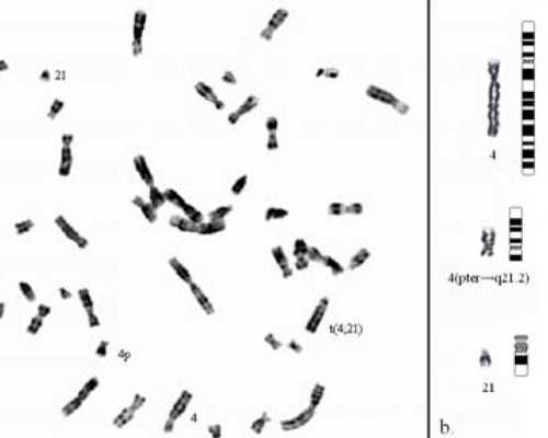 供卵试管-供卵中介，费用和价格详细解答,怎样预约香港验血挑构