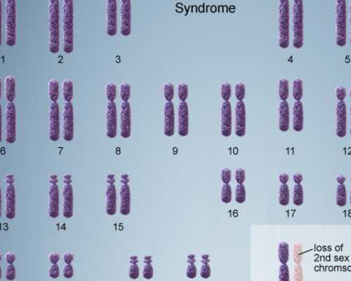 香港验血怎么算多少周_网上直接预约，点进来有,香港 验血 六周 七周 好