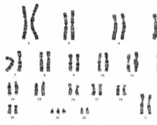 供卵多少钱_试管捐卵供卵,麻城有供卵的试管医院吗？