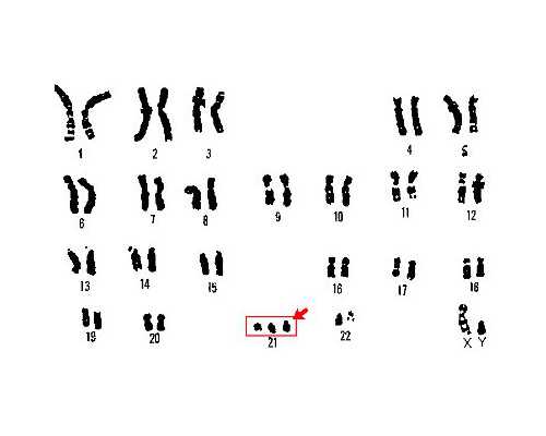 香港验男女查询结果在哪查,验血哪个机构最,香港验血能自己预约