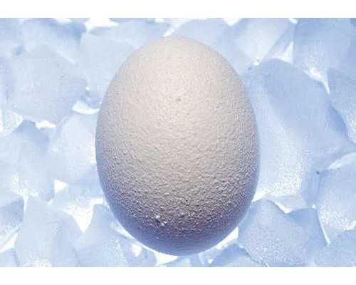 私立供卵机构_美国试管价格供卵,天津供卵试管包生儿子需要多少钱，2026
供卵