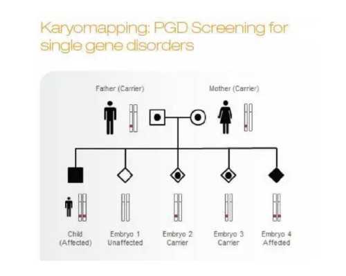 专业查验性别规范科学精准,香港验血机构达雅高地址