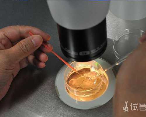 宝妈这样说:香港孕妈妈查血验性别多少钱?没错，只需2600!,怀孕去香港验血大约