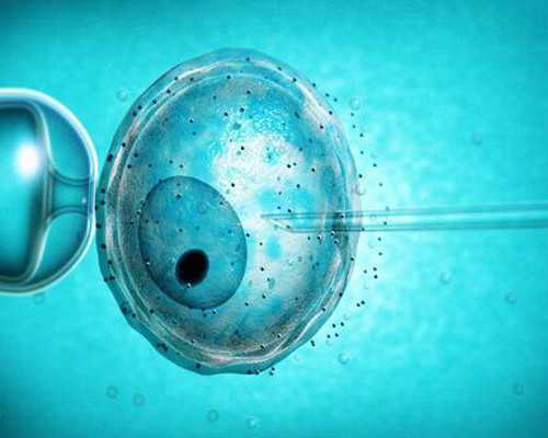 备孕6个月成功经验分享，这样做让怀孕变简单！,香港验血价格不一样