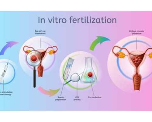 国内冻卵精子库,国内单身冻卵