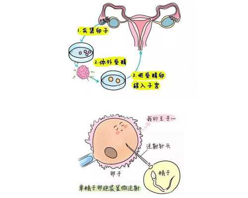 广州两公司违法宣传海外代孕生子被查,广州一商业机构为男性提供代孕服务被