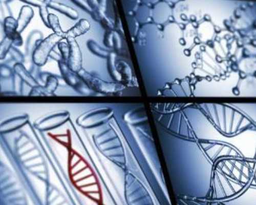 大连失独代孕-看淡网游