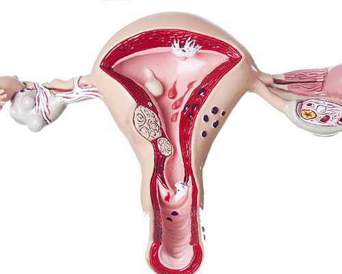 大米粥适合多大婴儿*助孕生子机构