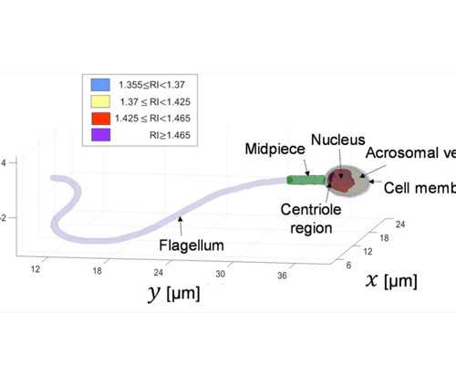 北京助孕宝宝吃山药的好处