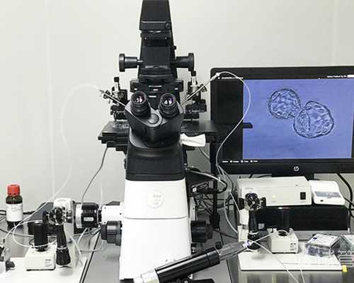 孕吐怎么样才能够缓解? 香港无创邮寄验血
,怀孕 香港验血 胎儿疾病