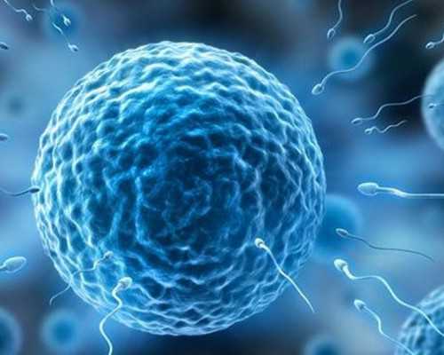 如何给北京助孕宝宝挑选水果