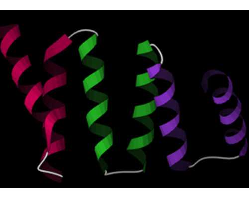 南阳三代试管婴儿机构推荐及费用一览！*供卵代怀机构