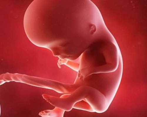 香港胎儿产前dna检测(这个成功经验分享给准备去 香港验血哪个机构微信号
,自