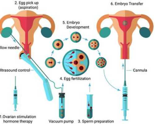 大龄供卵试管婴儿_金贝供卵医院,呼伦贝尔供卵试管不好