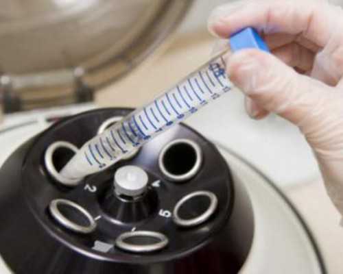 试管北京助孕宝宝发育全过程_试管北京助孕宝宝和自然生育的北京助孕宝宝有