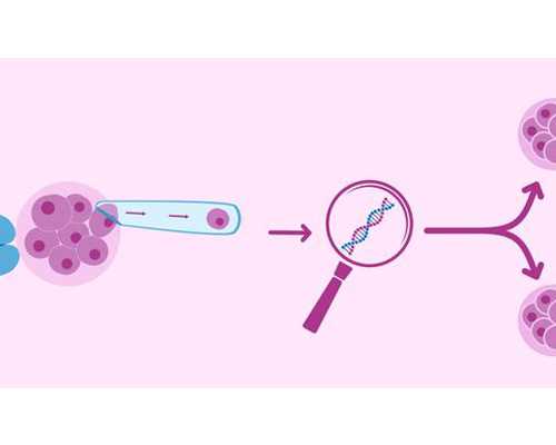 4岁的北京助孕宝宝能学到什么天生？4岁北京助孕宝宝的才艺先容