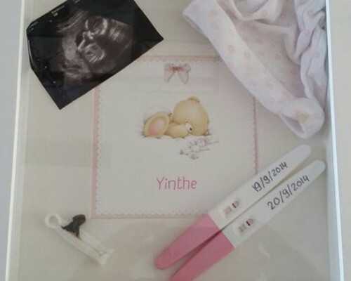 供卵中介群怎么找_供卵试管有保障,2026年哪个国家可以做供卵试管？现在去哪国